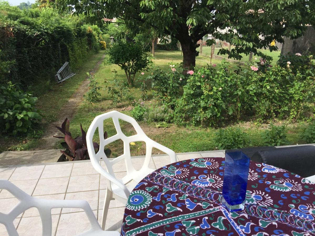 Chambre Chez L'Habitant Orthez Exteriér fotografie